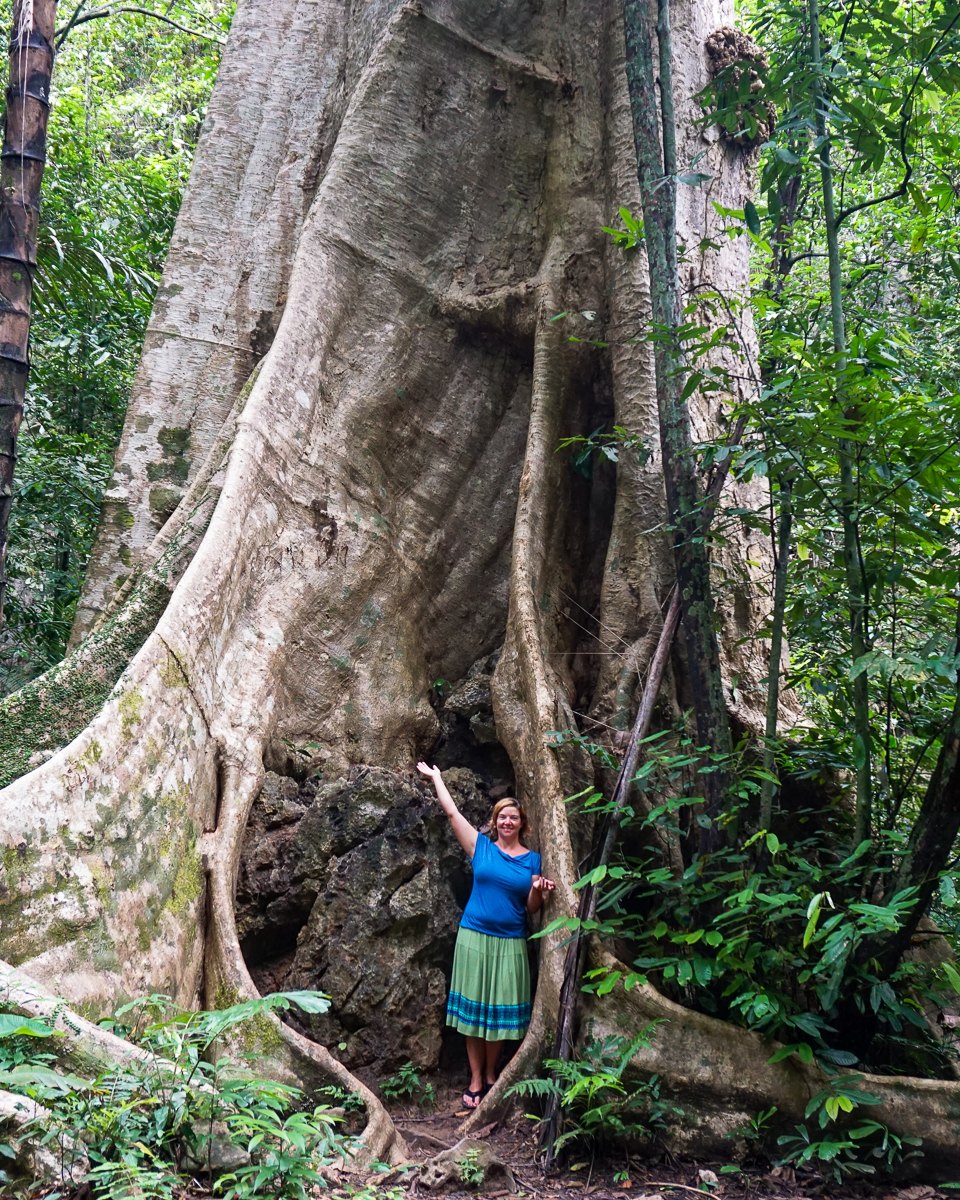 Mairin reaching a hand to the trunk of a towering rainforest tree in deep green jungle
